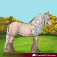 Horse Color:White Spotted Silver Blue Roan Pearl