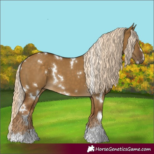 Horse Color:White Spotted Chocolate Palomino Dun 