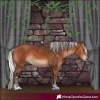 Horse Color:Bay  and Silver Bay Rabicano 