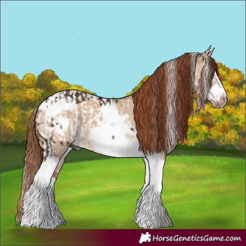 Horse Color:Liver Chestnut Splash Frame  and Red Dun Splash Tobiano Frame 