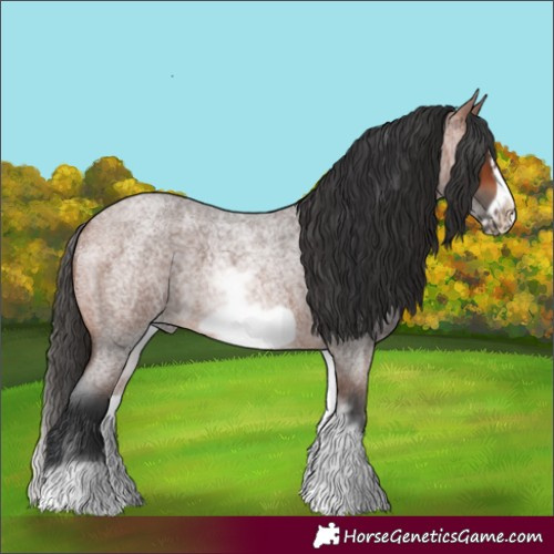 Horse Color:White Spotted Bay Roan Frame 