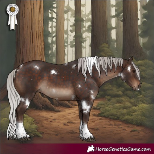 Horse Color:White Spotted Silver Brown Tobiano 
