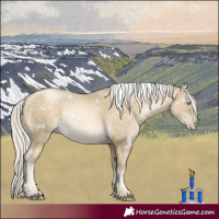 Horse Color:White Spotted Silver Buckskin Pearl Dun Rabicano 