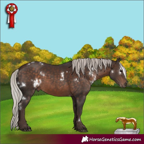 Horse Color:White Spotted Silver Brown 