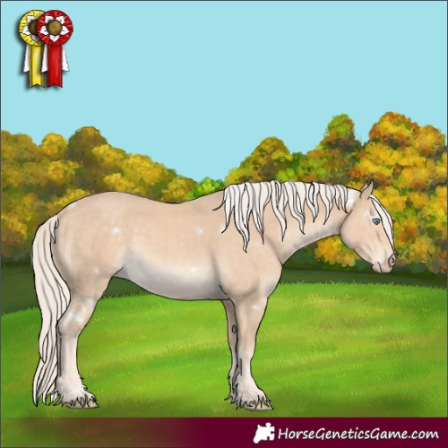 Horse Color:White Spotted Cremello Rabicano 