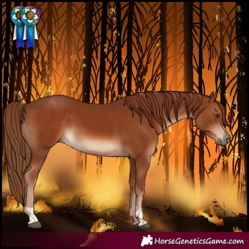 Horse Color:Chestnut  and Chestnut 