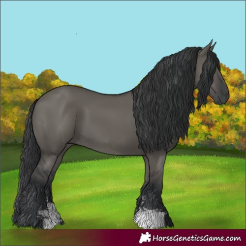 Horse Color:Grullo Sabino Rabicano 
