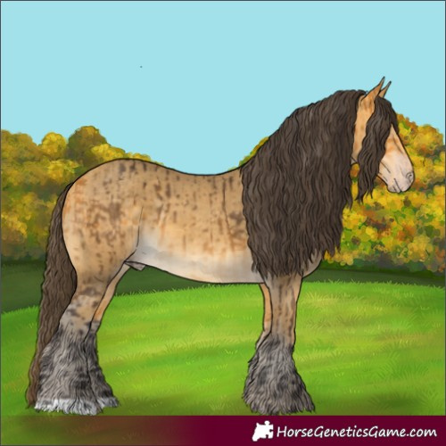 Horse Color:Buckskin  and Amber Cream Champagne 
