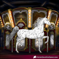 Horse Color:Black Leopard 