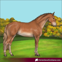 Horse Color:Chestnut  and Chestnut 