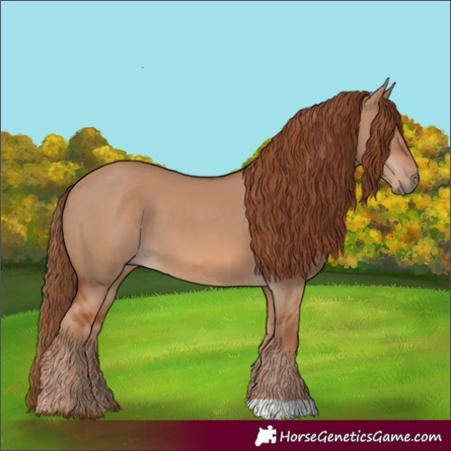 Horse Color:Red Dun 
