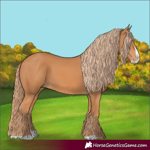 Horse Color:Chestnut Splash 