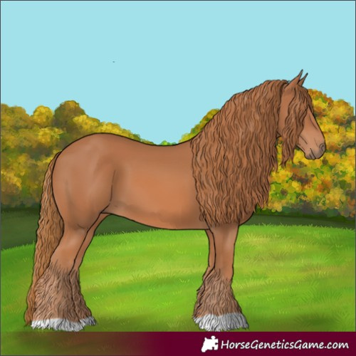 Horse Color:Chestnut 