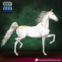 Horse Color:Palomino Splash Frame 