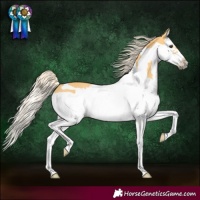 Horse Color:Palomino Splash Frame 