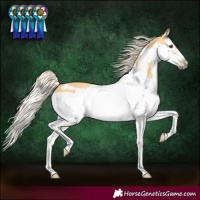 Horse Color:Palomino Splash Frame 