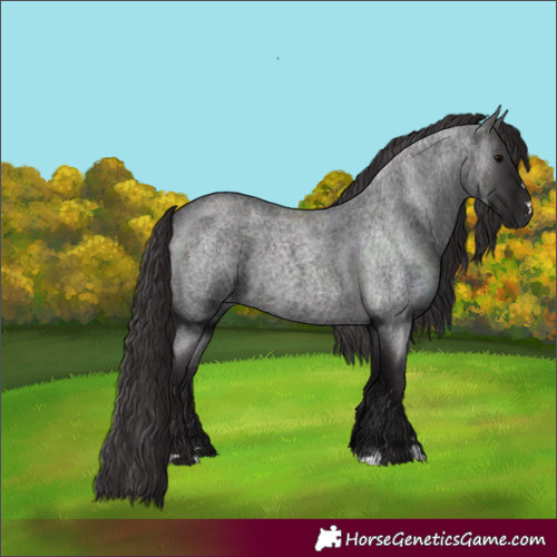 Horse Color:Smoky Blue Roan 