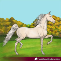 Horse Color:Gold Cream Champagne Pearl 