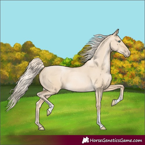 Horse Color:Palomino Pearl Dun Tobiano Rabicano 