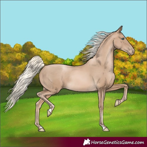 Horse Color:Chocolate Palomino Pearl Rabicano 