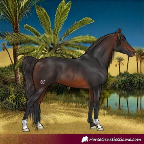 Horse Color:Brown 