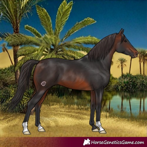 Horse Color:Brown 