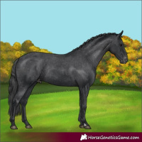 Horse Color:Black Varnish Rabicano