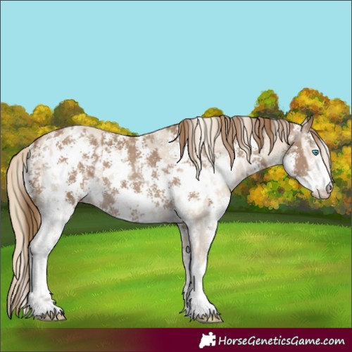 Horse Color:Smoky Creme Sabino and Gray Smoky Creme Sabino