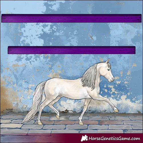 Horse Color:Palomino Pearl Sabino 