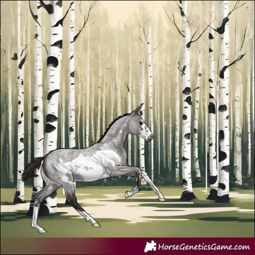 Horse Color:Smoky Grullo Roan Sabino Frame 