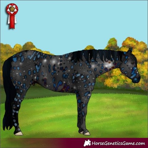 Horse Color:ERROR: UNKNOWN ANOMALY