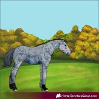 Horse Color:ERROR: UNKNOWN ANOMALY