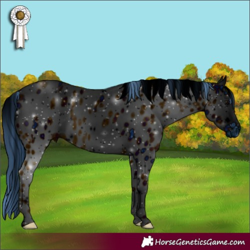 Horse Color:ERROR: UNKNOWN ANOMALY