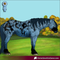Horse Color:ERROR: UNKNOWN ANOMALY