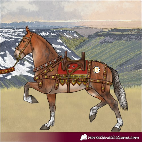 Horse Color:Bay  and Silver Bay 