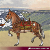 Horse Color:Bay and Silver Bay