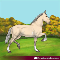 Horse Color:Silver Buckskin Dun Tobiano 