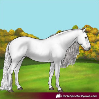 Horse Color:Gray Bay