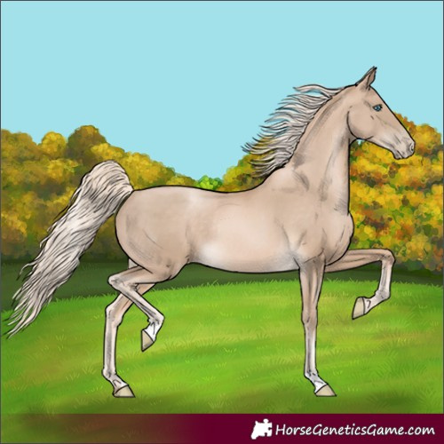 Horse Color:Chocolate Palomino Pearl Rabicano