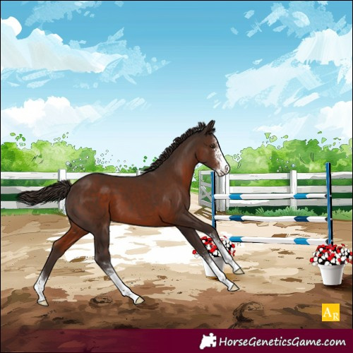 Horse Color:Liver Chestnut Sabino 