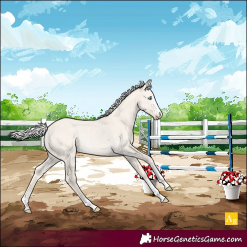 Horse Color:Silver Smoky Creme Dun Rabicano 