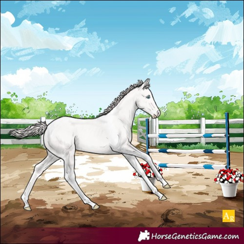 Horse Color:Perlino Tobiano Rabicano 