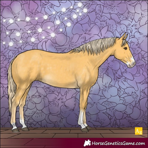 Horse Color:Palomino Sabino