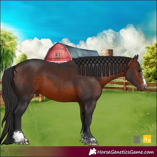Horse Color:Brown 