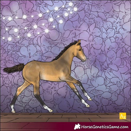 Horse Color:Buckskin Rabicano 