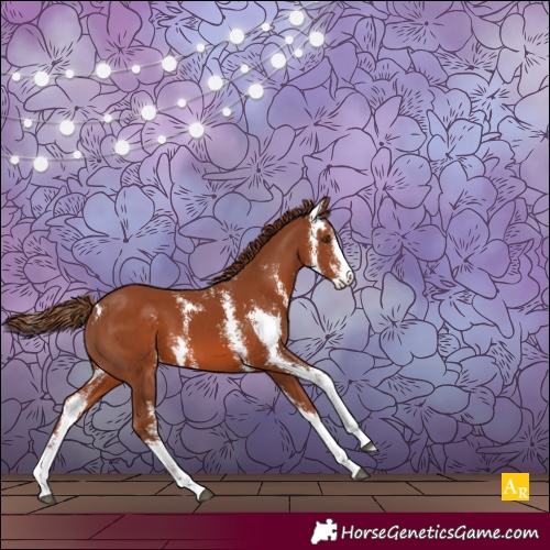 Horse Color:Chestnut Sabino 