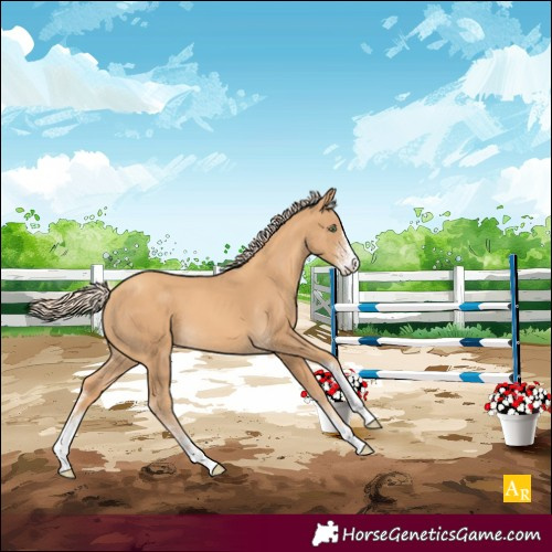 Horse Color:Gold Cream Champagne Sabino 