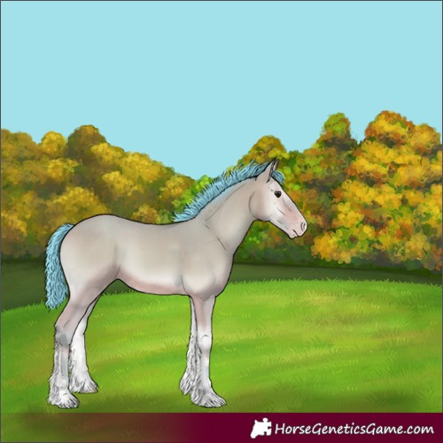 Horse Color:Watercolor Sable Champagne Onyx