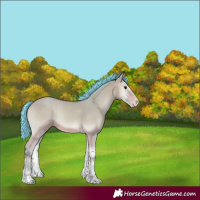 Horse Color:Watercolor Sable Champagne Onyx 