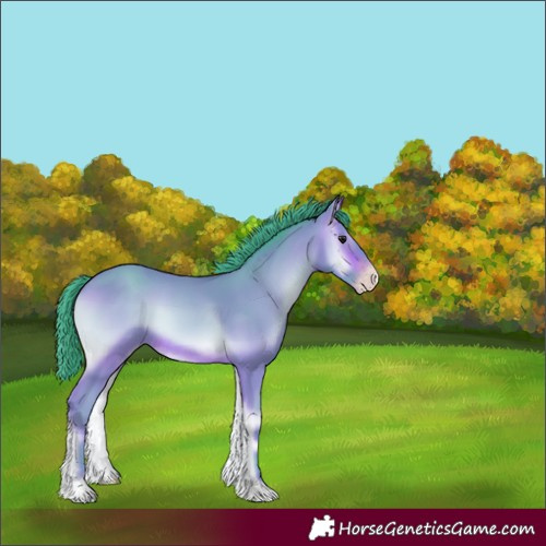 Horse Color:Watercolor Sable Champagne Onyx